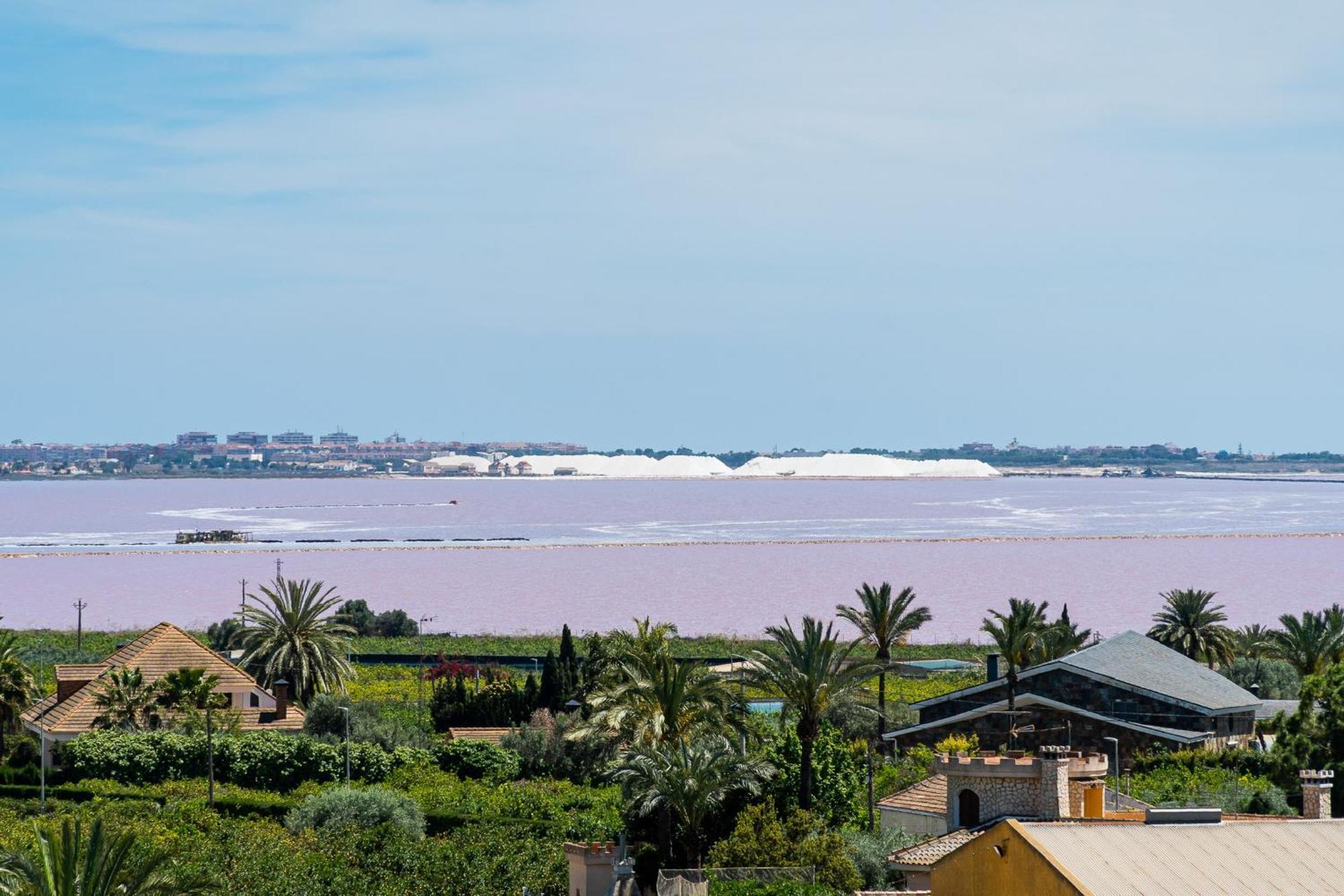 Aparthotel Laguna Rosa ロス・モンテシーノス エクステリア 写真